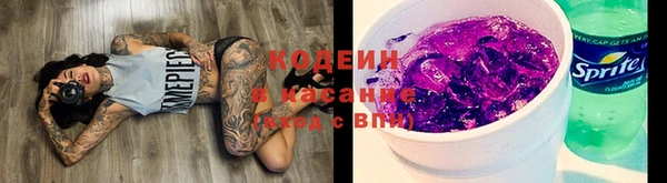 МДПВ Осташков