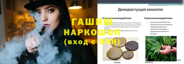 МДПВ Осташков