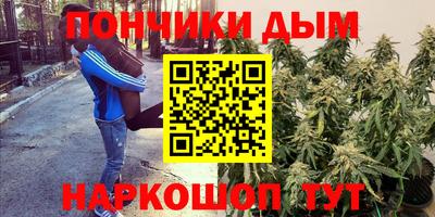 стаф Абакан
